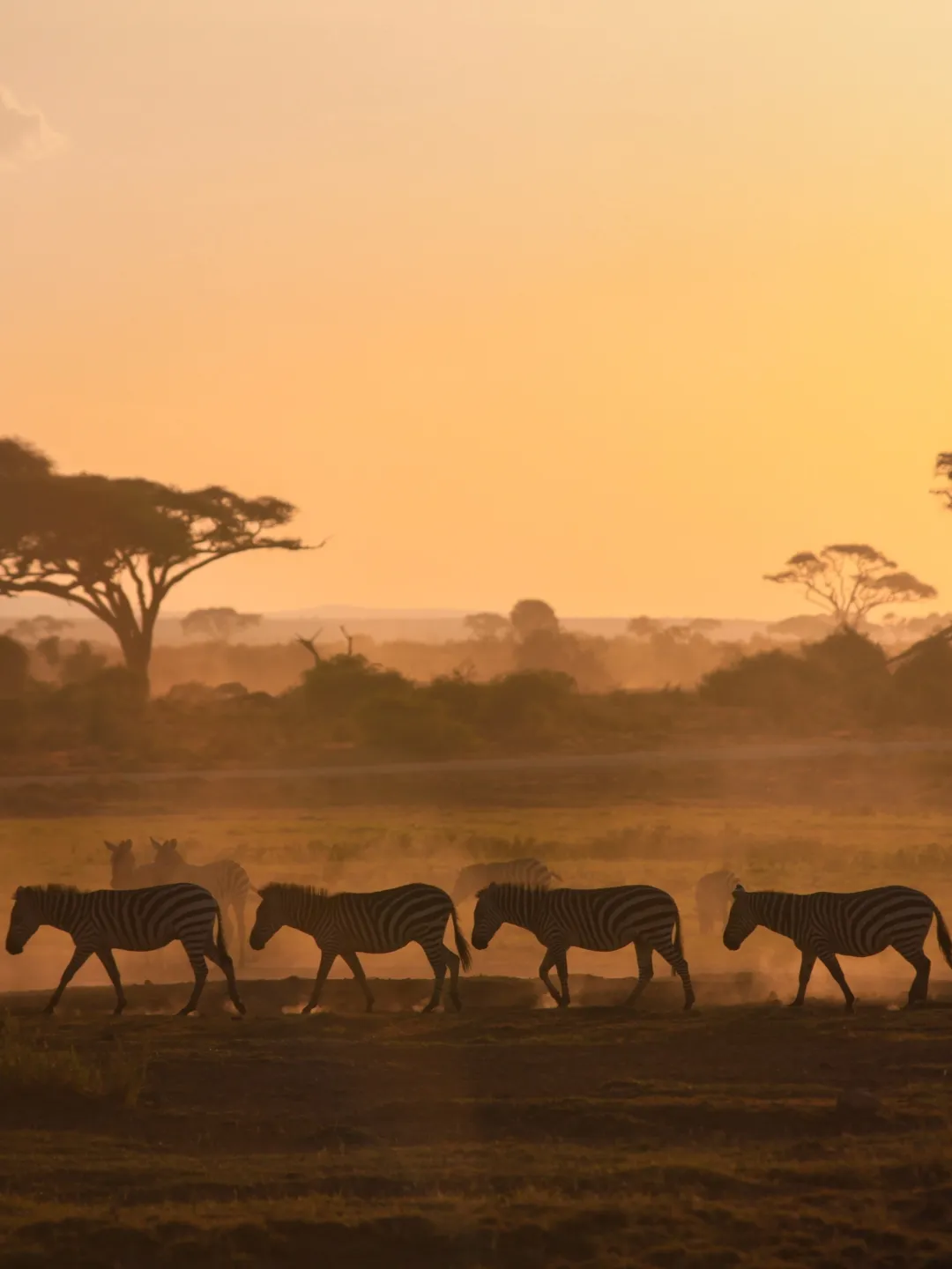 WAKEA TRAVEL · imagen 4